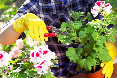 Landscape workers assessing a garden project