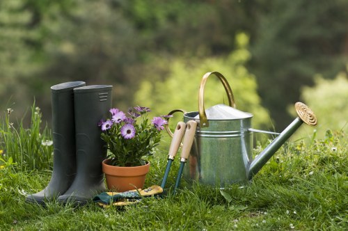 Lush Sudbury lawn maintained by professional mowing services